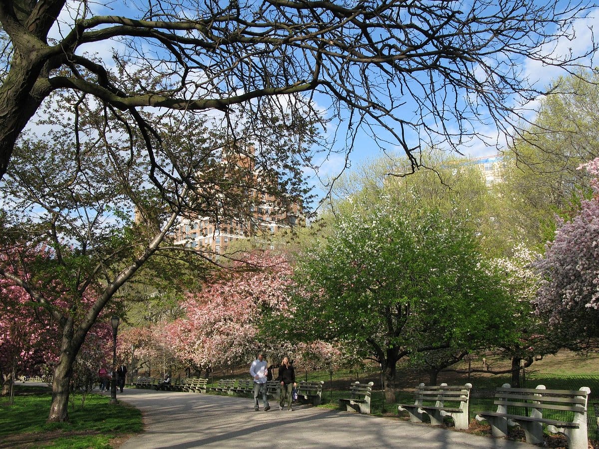 Riverside Park-Best Instagram Spots in New York City