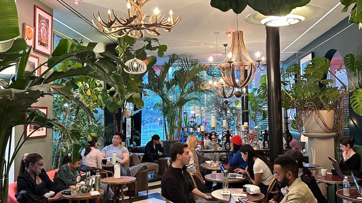 Café-Flor-  Remote Work & Studying