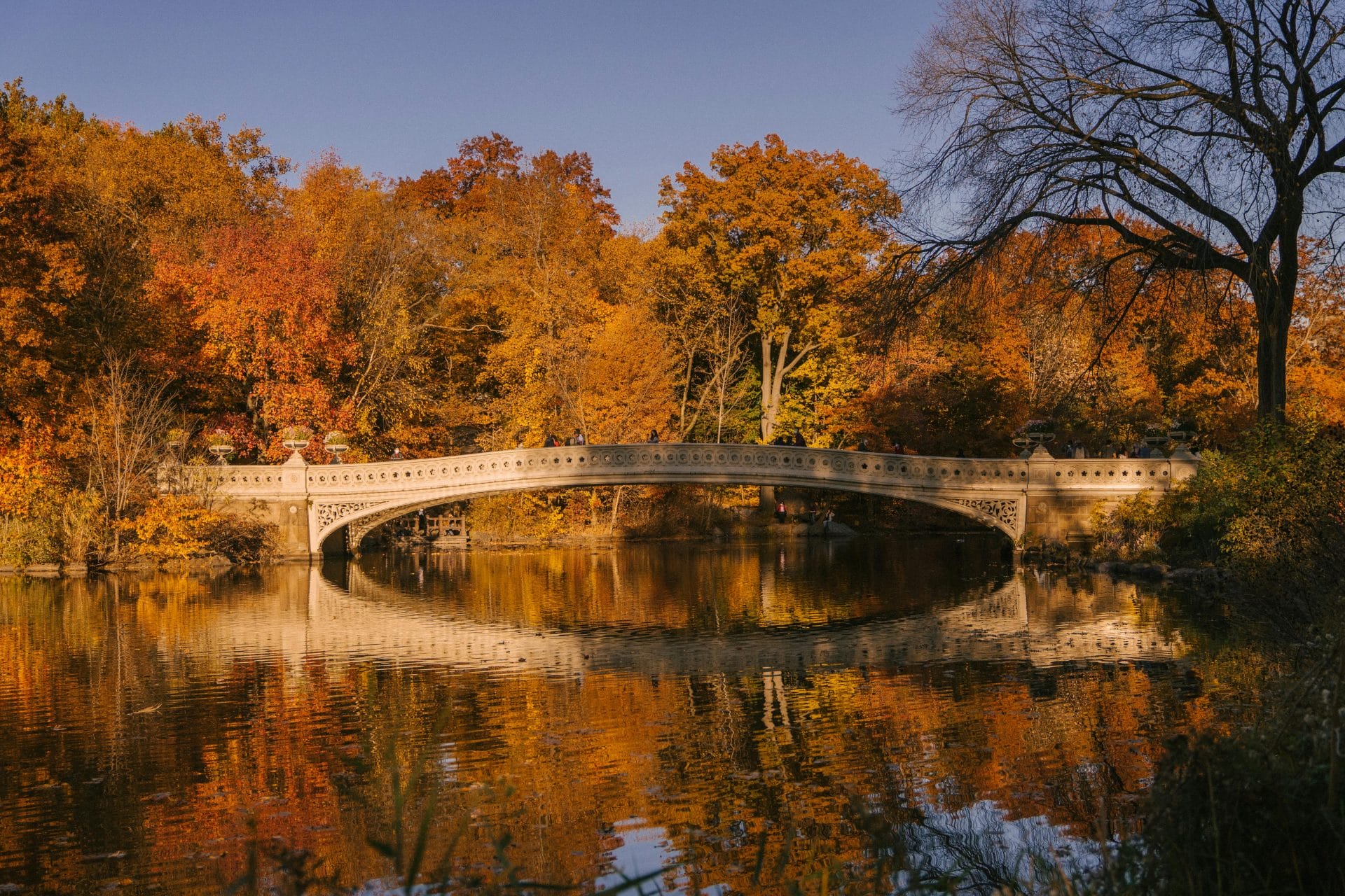 The Bow Bridge