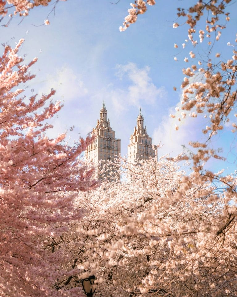 Best Things To Do in New York City This March 2025