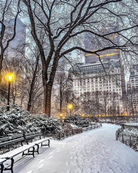 The Ultimate NYC Winter Bucket List Before Spring Arrives