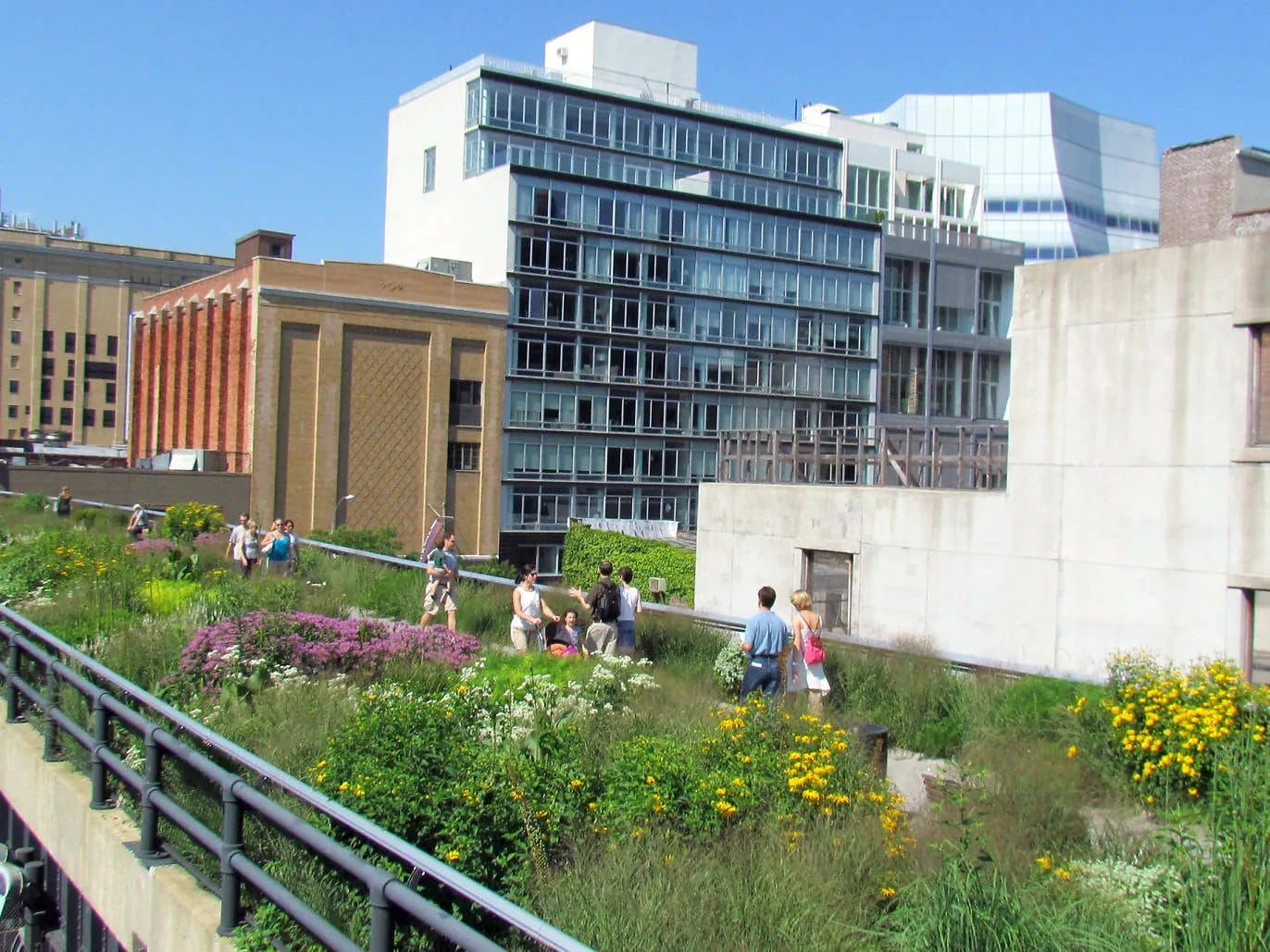 The High Line during the summer - New York City During the Summer
