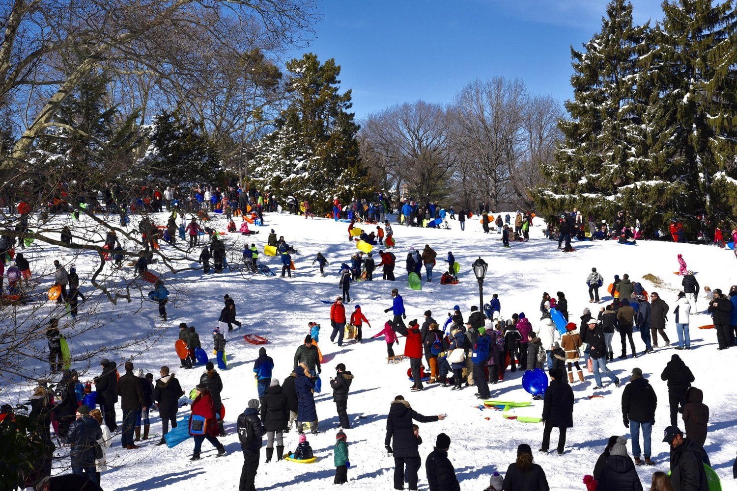 NYC Winter Activities : Sledding at Central Park