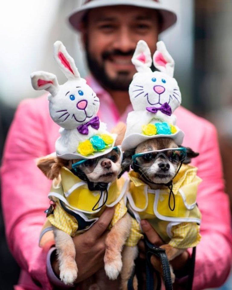 Easter parade 2019