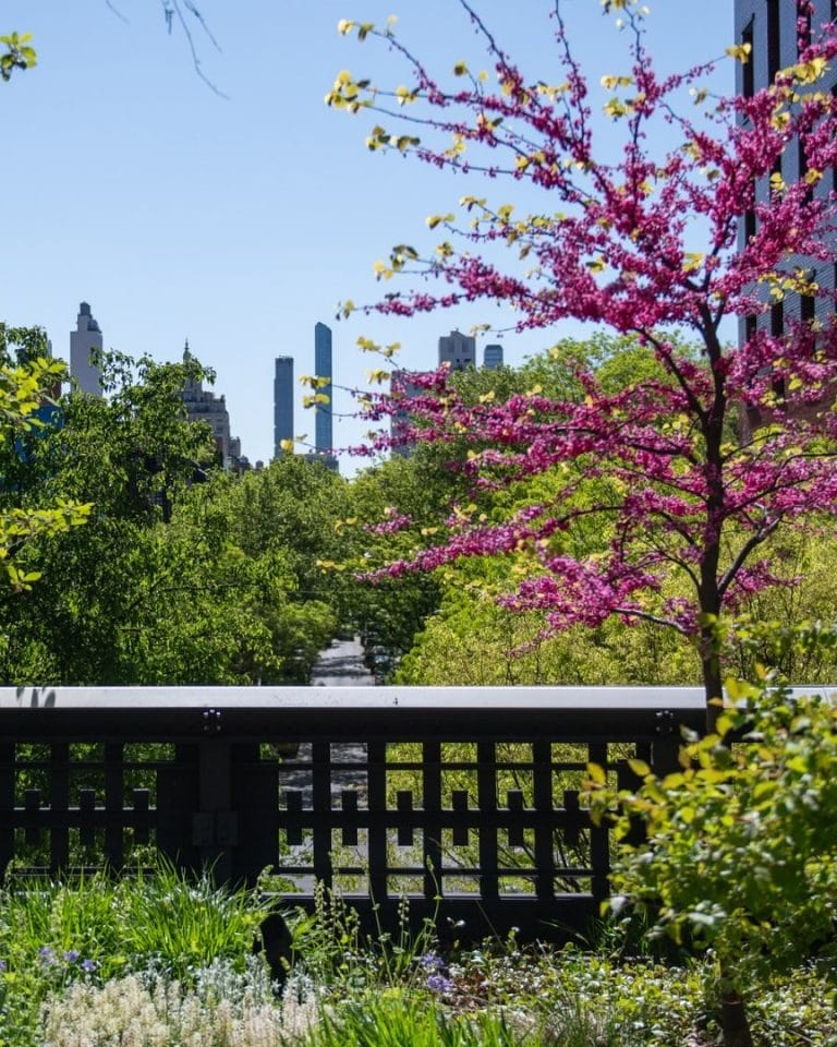 Solo Things to Do NYC This May – 2025 Guide