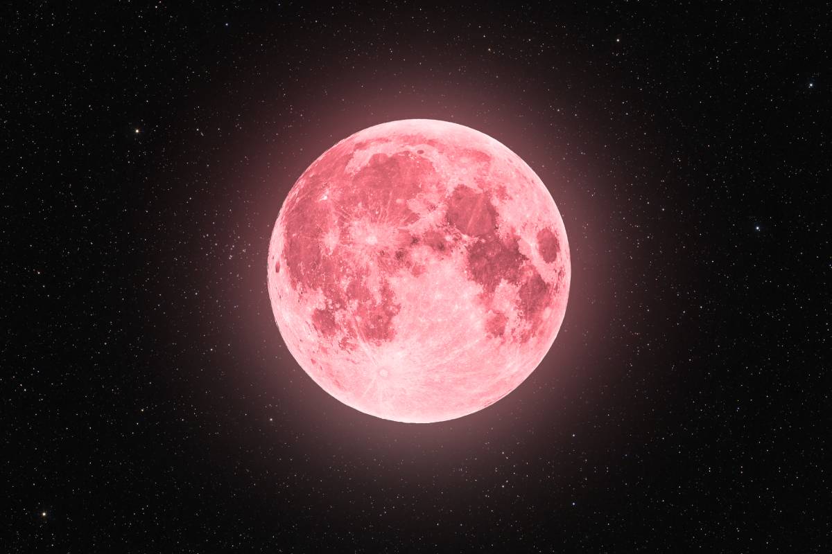 Full Pink Moon