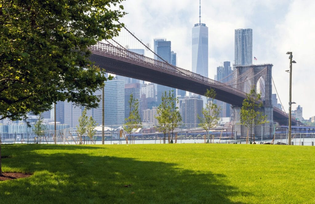 Enjoy Art Installations at Empire Fulton Ferry Park