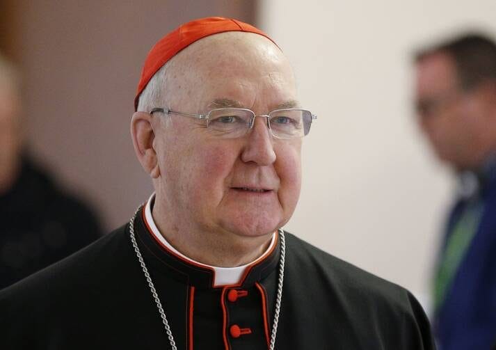 Cardinal Kevin Farrell as acting head of the Vatican
