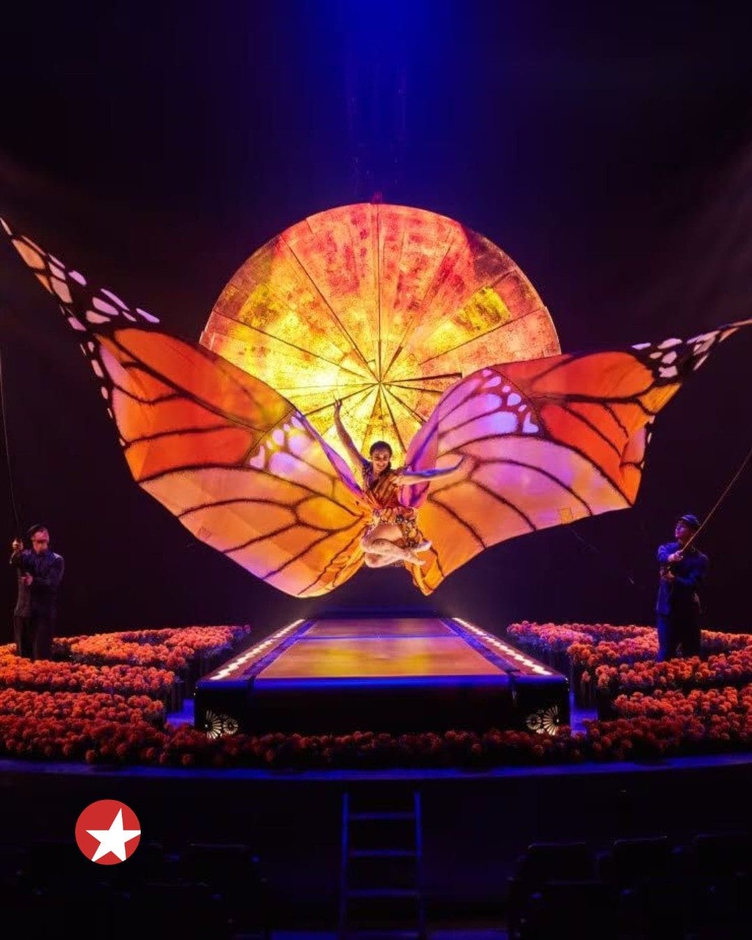 Broadway show for father's day