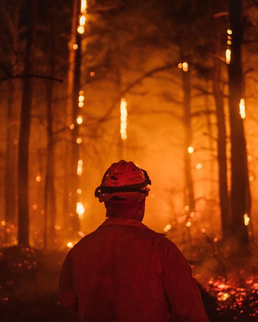 New Jersey Wildfire Grows to 13,250 Acres, Could Be State’s Largest in 20 Years