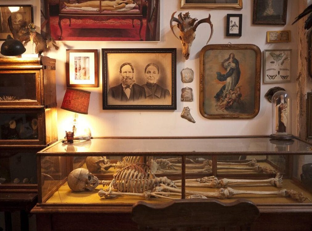 Interior of Morbid Anatomy 