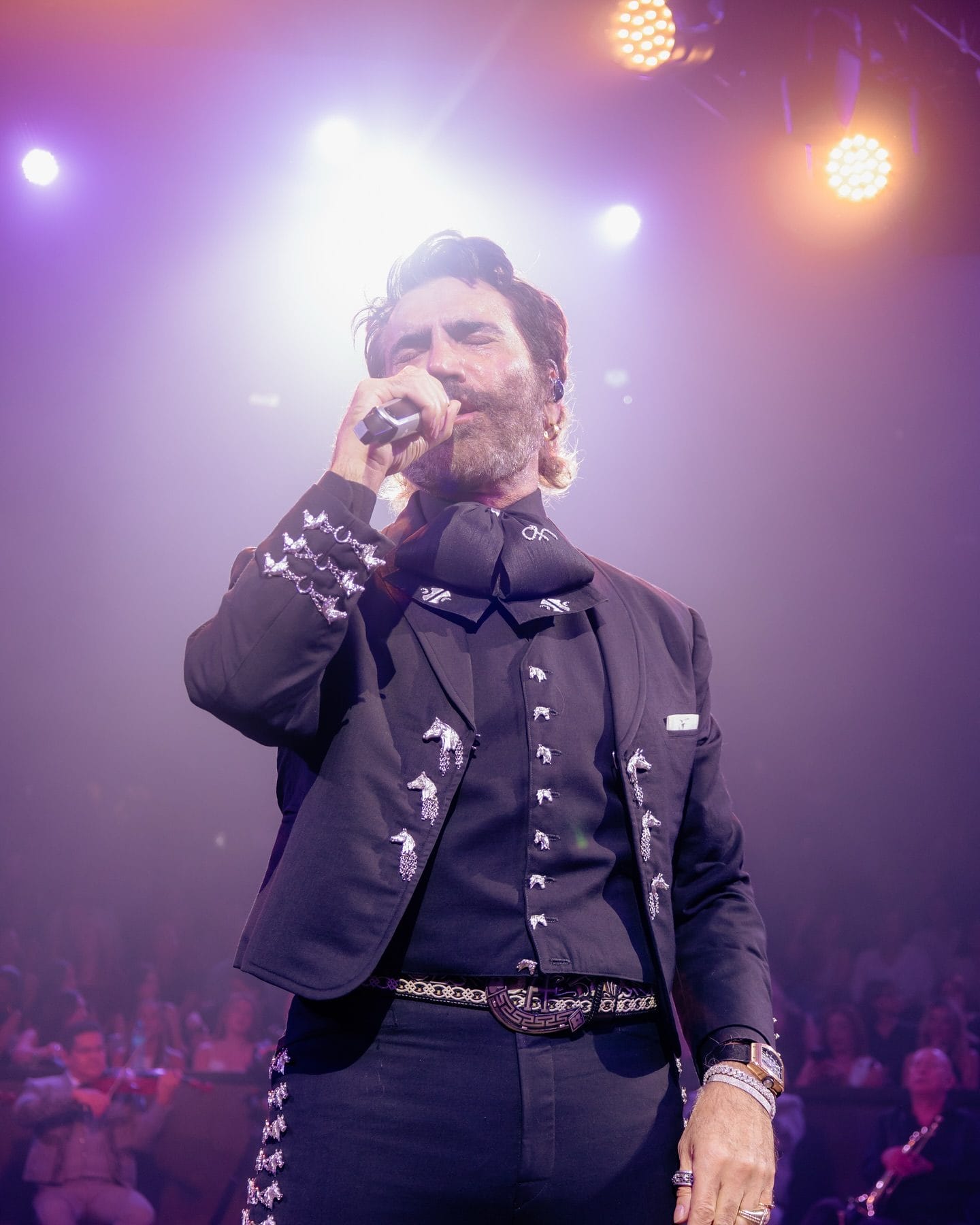 Alejandro Fernández: de Rey a Rey