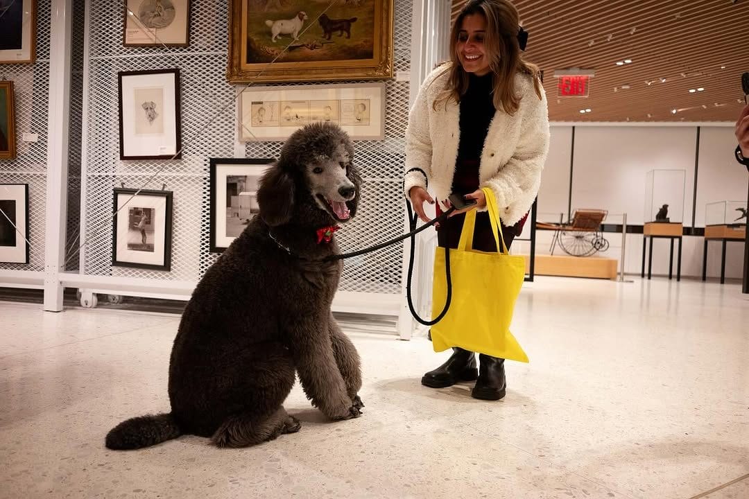 AKC Museum of the Dog