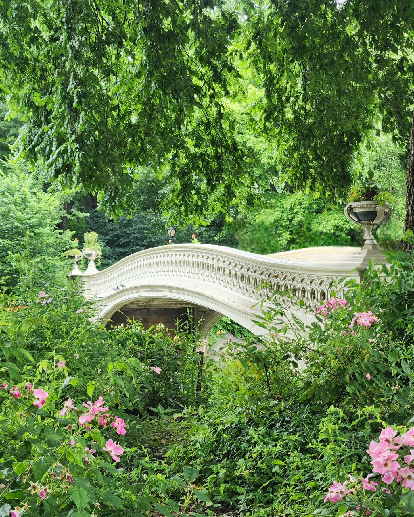 Central Park Bow Bridge