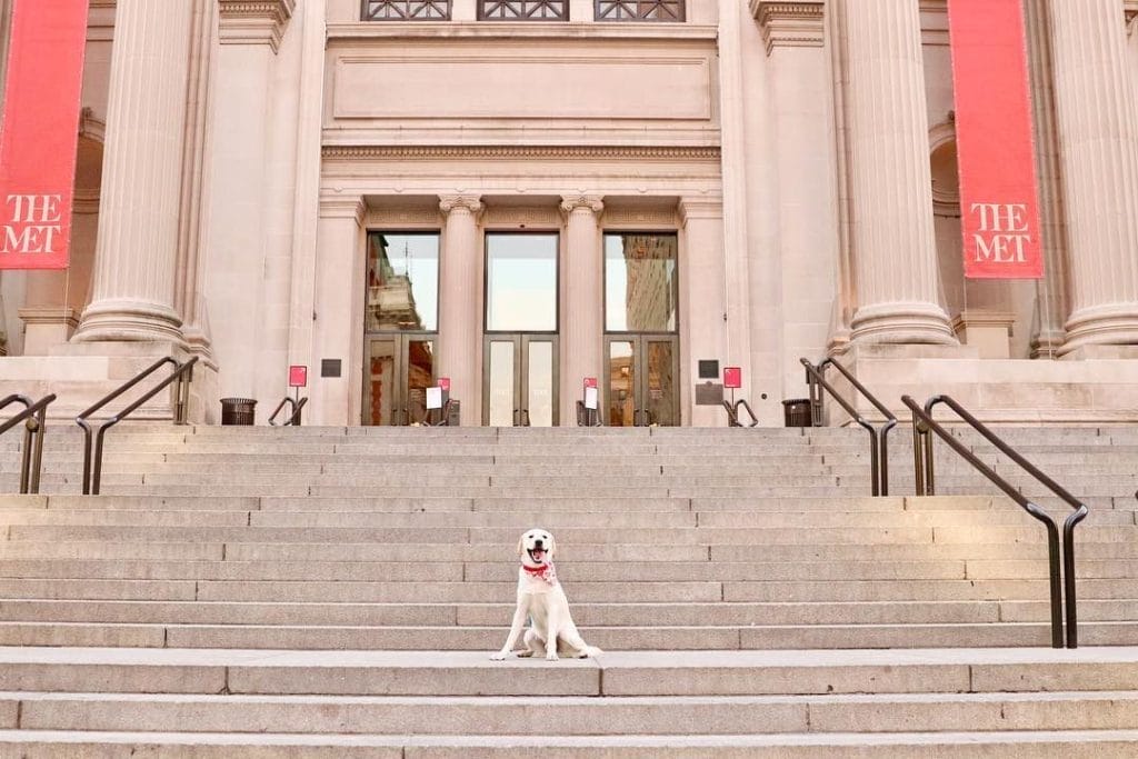 4th Annual Halloween Night event