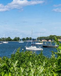 Hidden Gems in the Bronx: 25+ Local Favorites