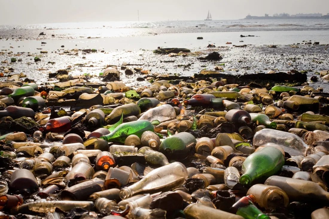 Hidden gems in Brooklyn