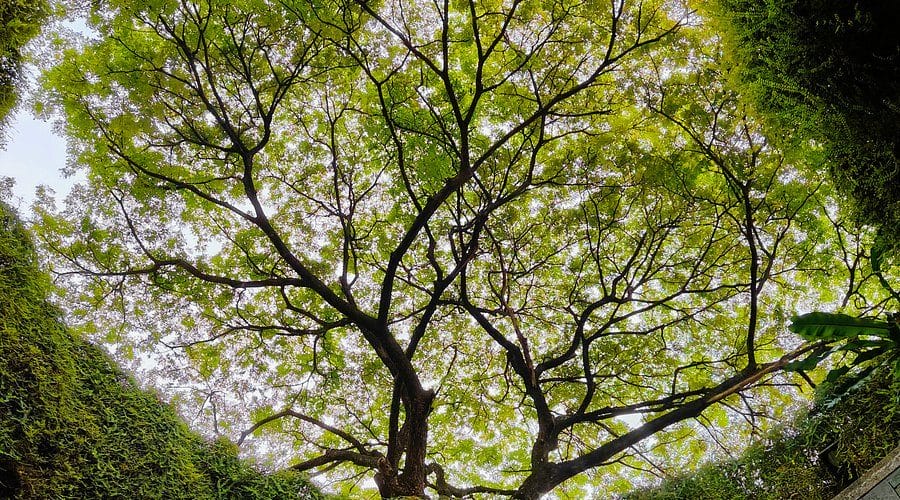 Hidden gems in Brooklyn