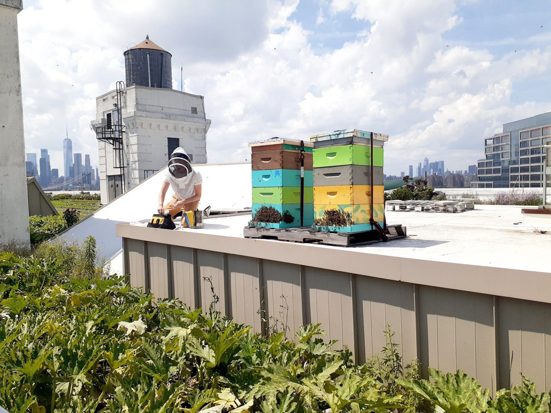 Hidden gems in Brooklyn