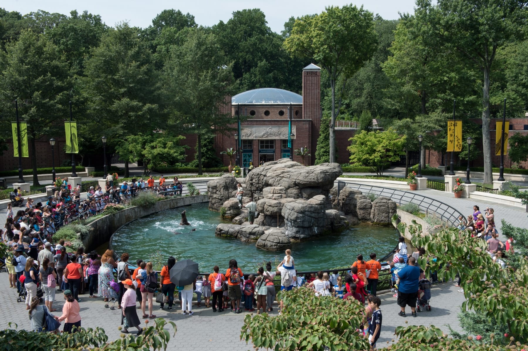 Wide shot of people gathering around a sea lion exhibit in Prospect Zoo.