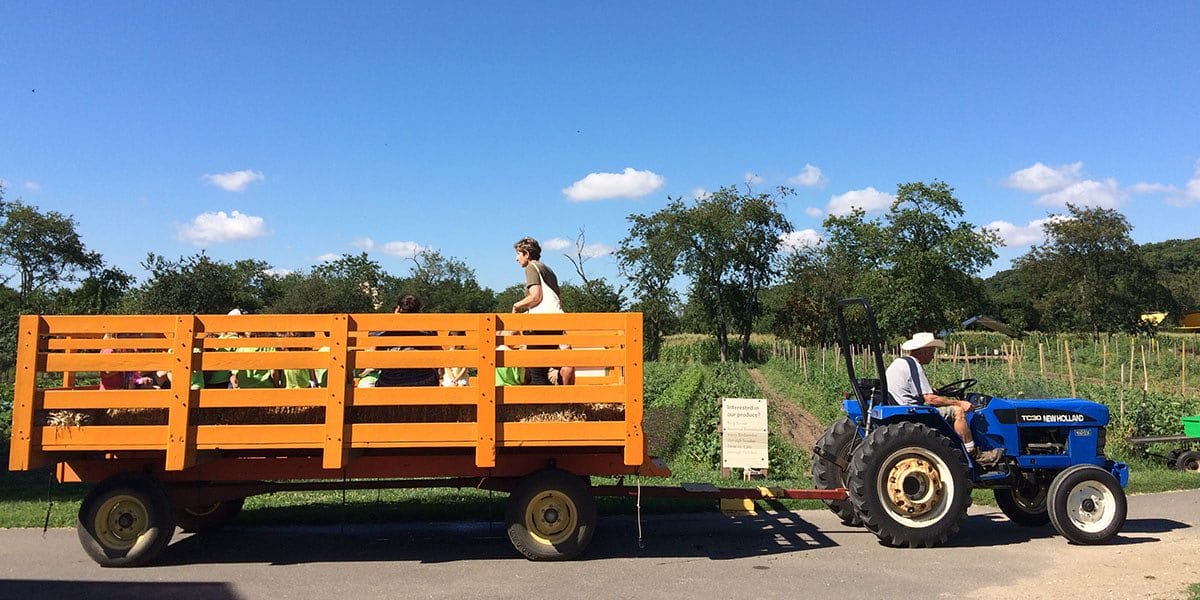 Hayrides at Queens Farm