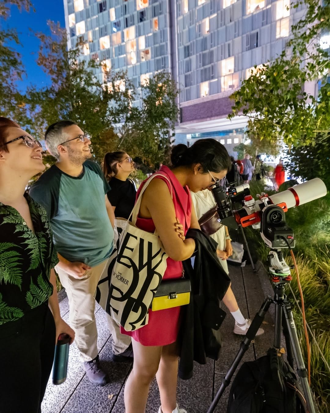 Summer Nights: 15+ New York City Luxe Date Ideas on a Budget