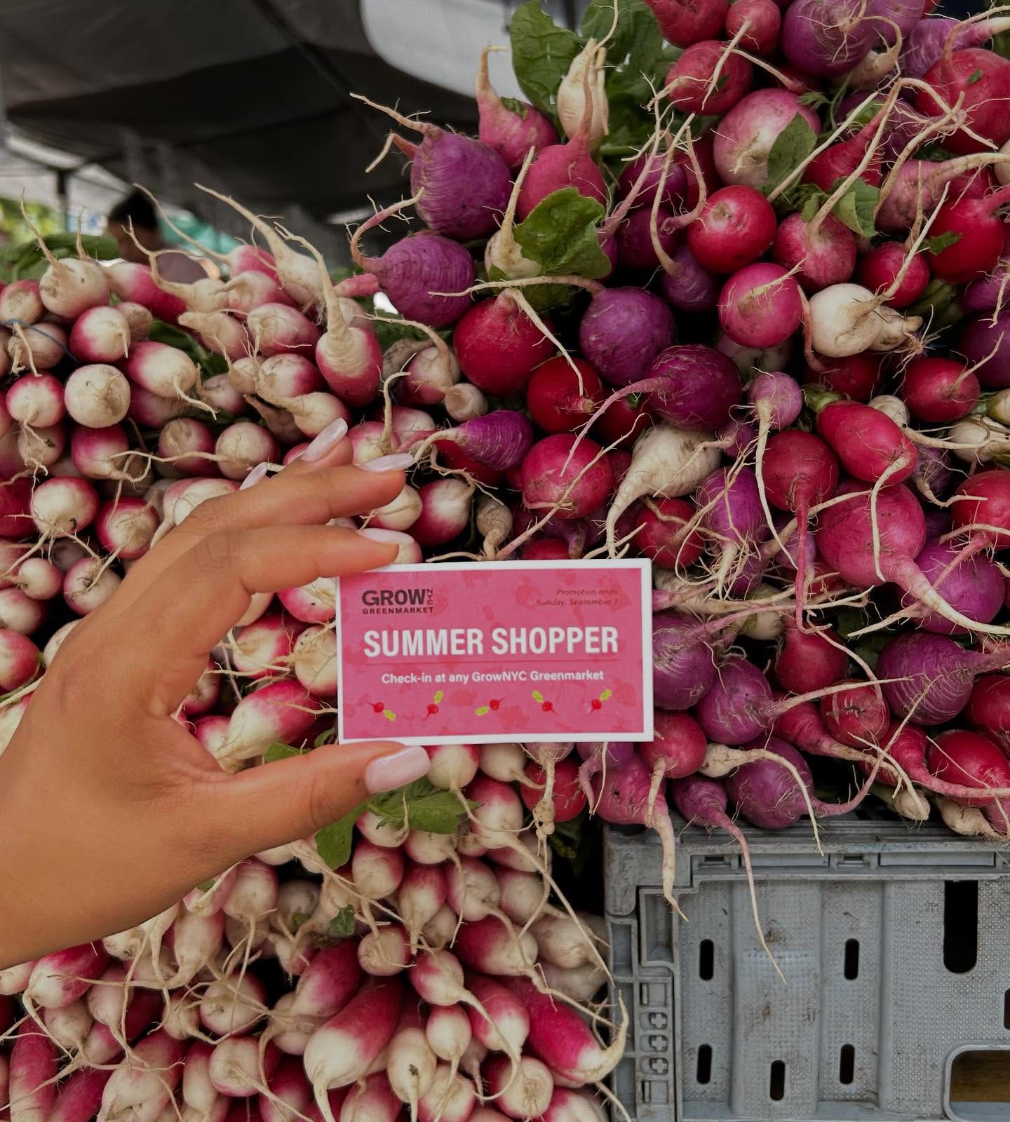 Fort Washington Greenmarket