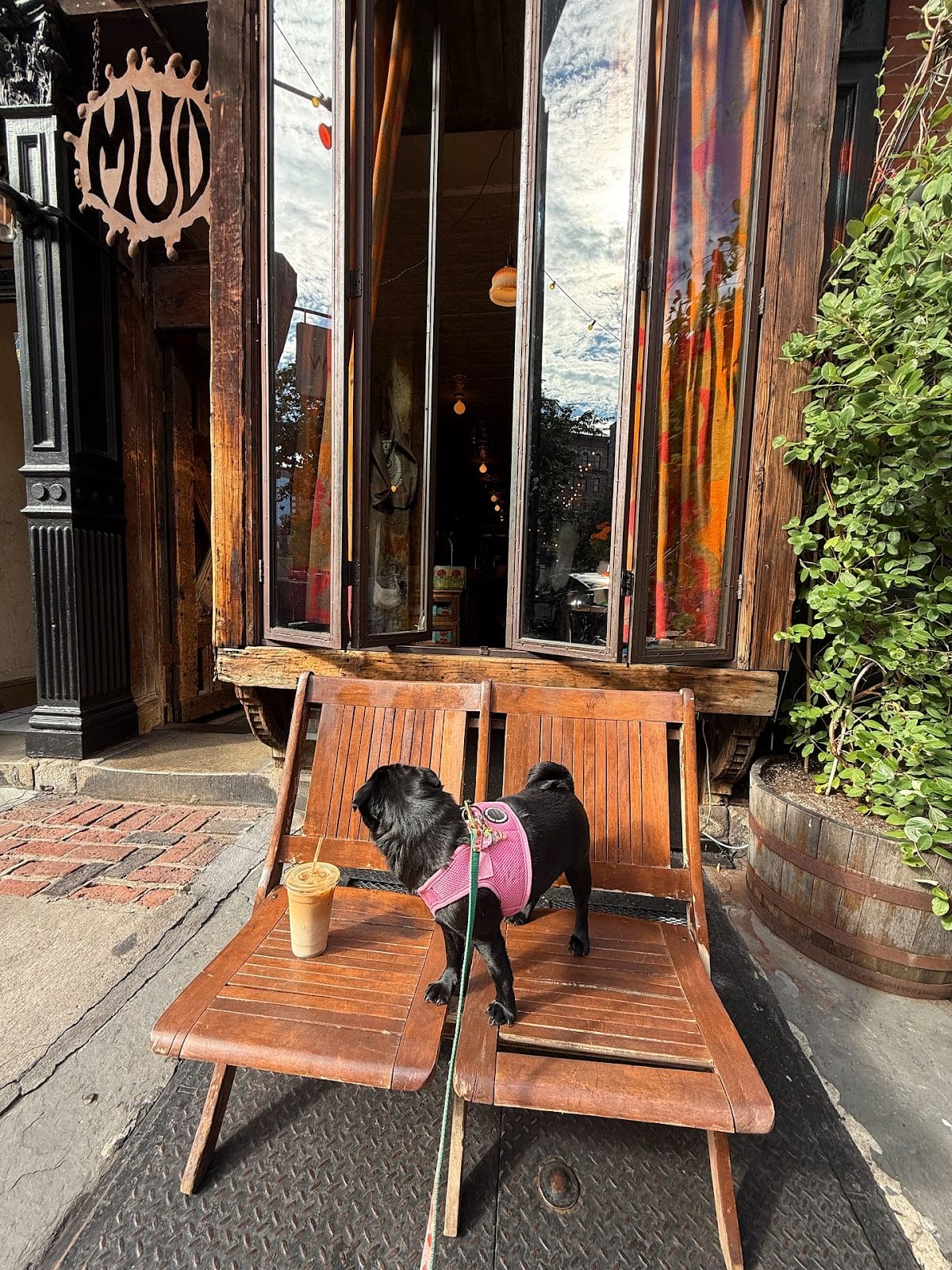 Best cafes with patios in NYC