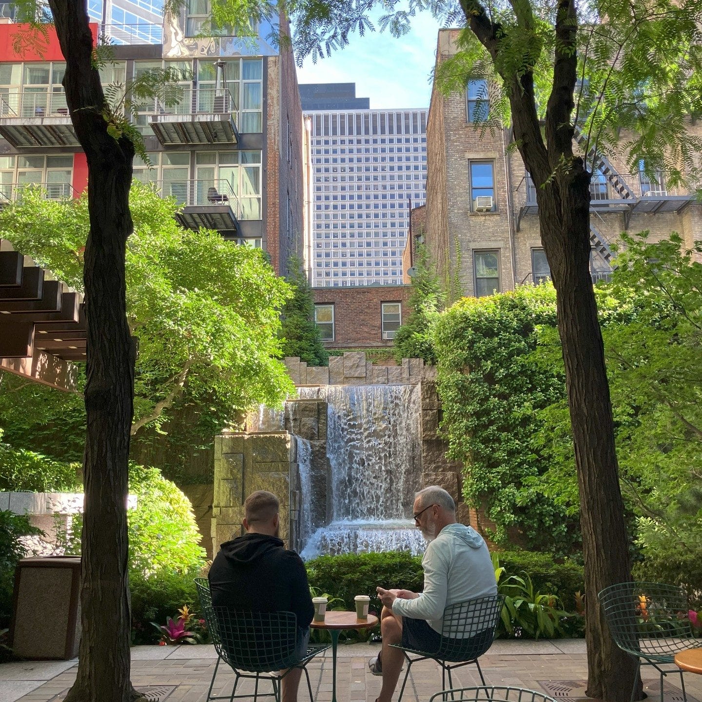 Best spots for a digital detox in NYC