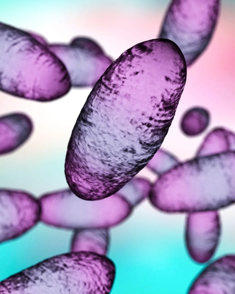 Human Plague Case Confirmed in El Dorado County, California