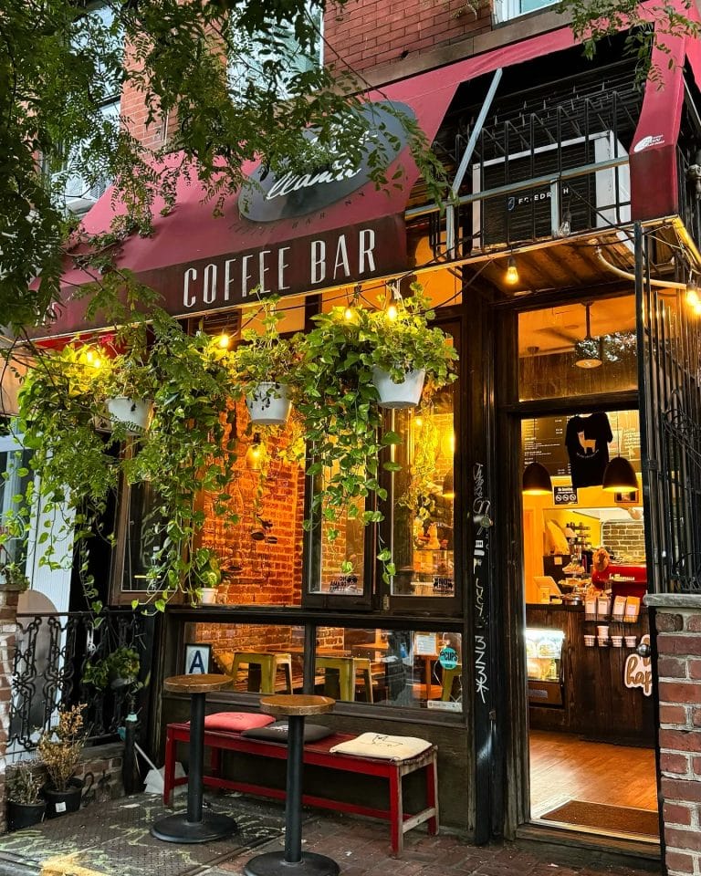 Best Cafes with Patios in NYC