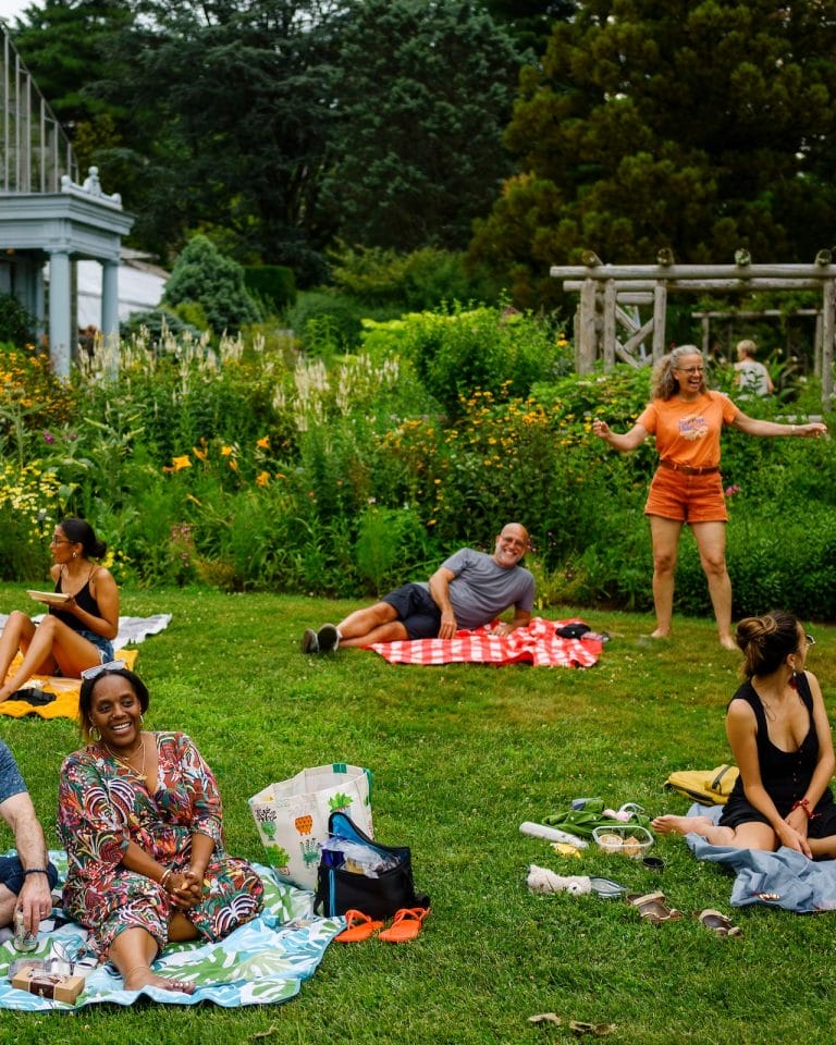 15+ Best Spots for a Digital Detox in NYC
