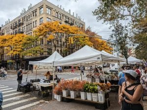 December 2024 Fun: Your Guide to Toronto and Beyond
