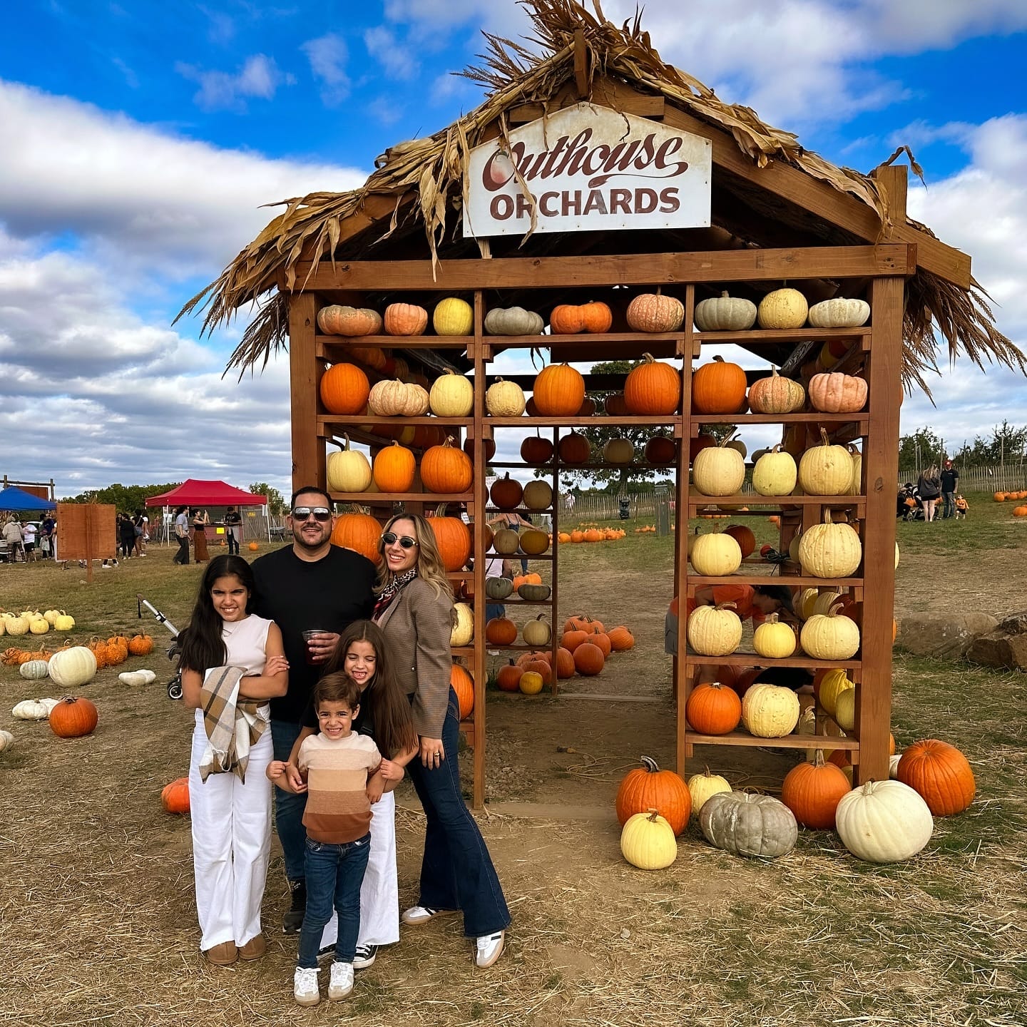 Pumpkin Patches NYC