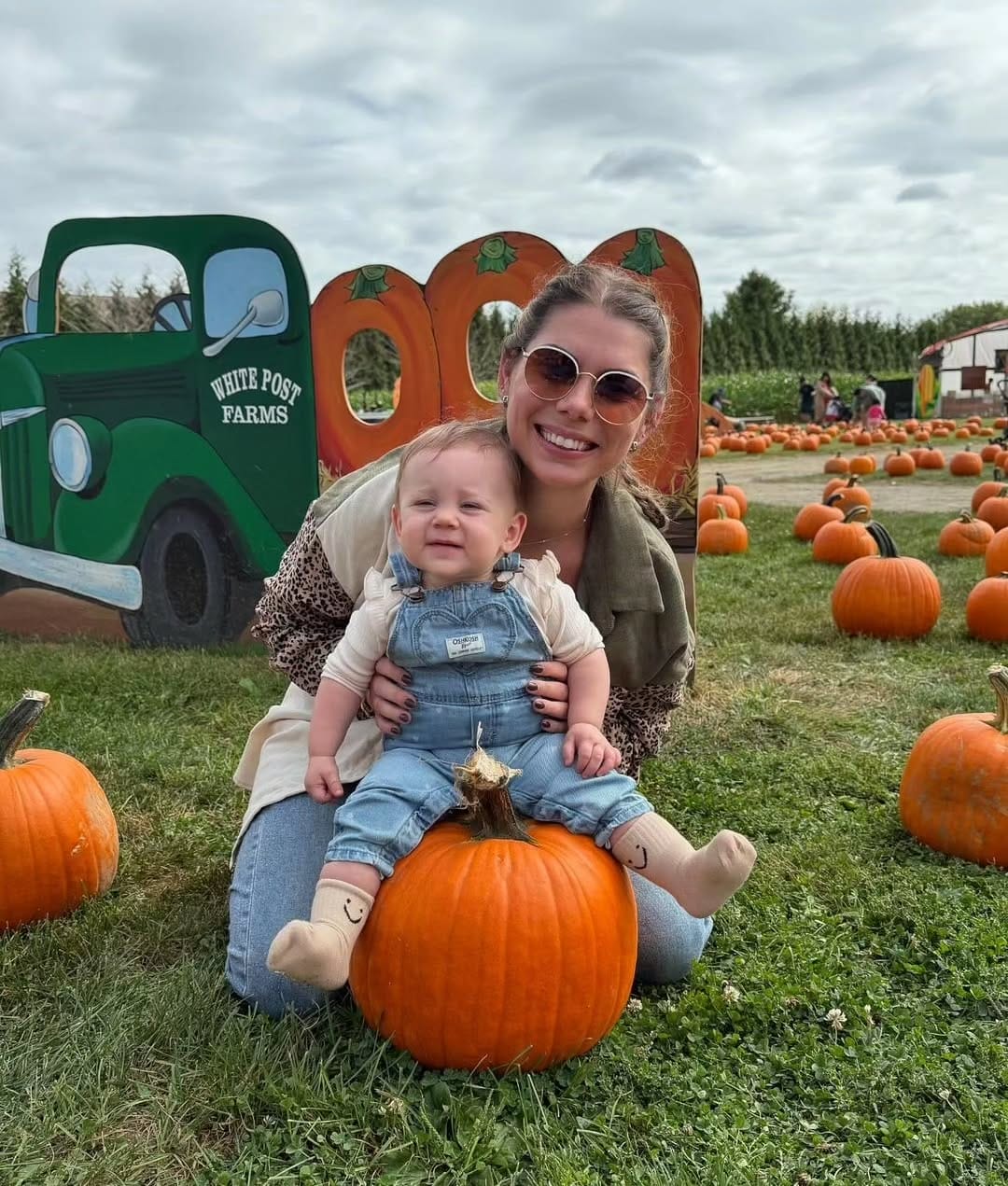 Pumpkin Patches NYC