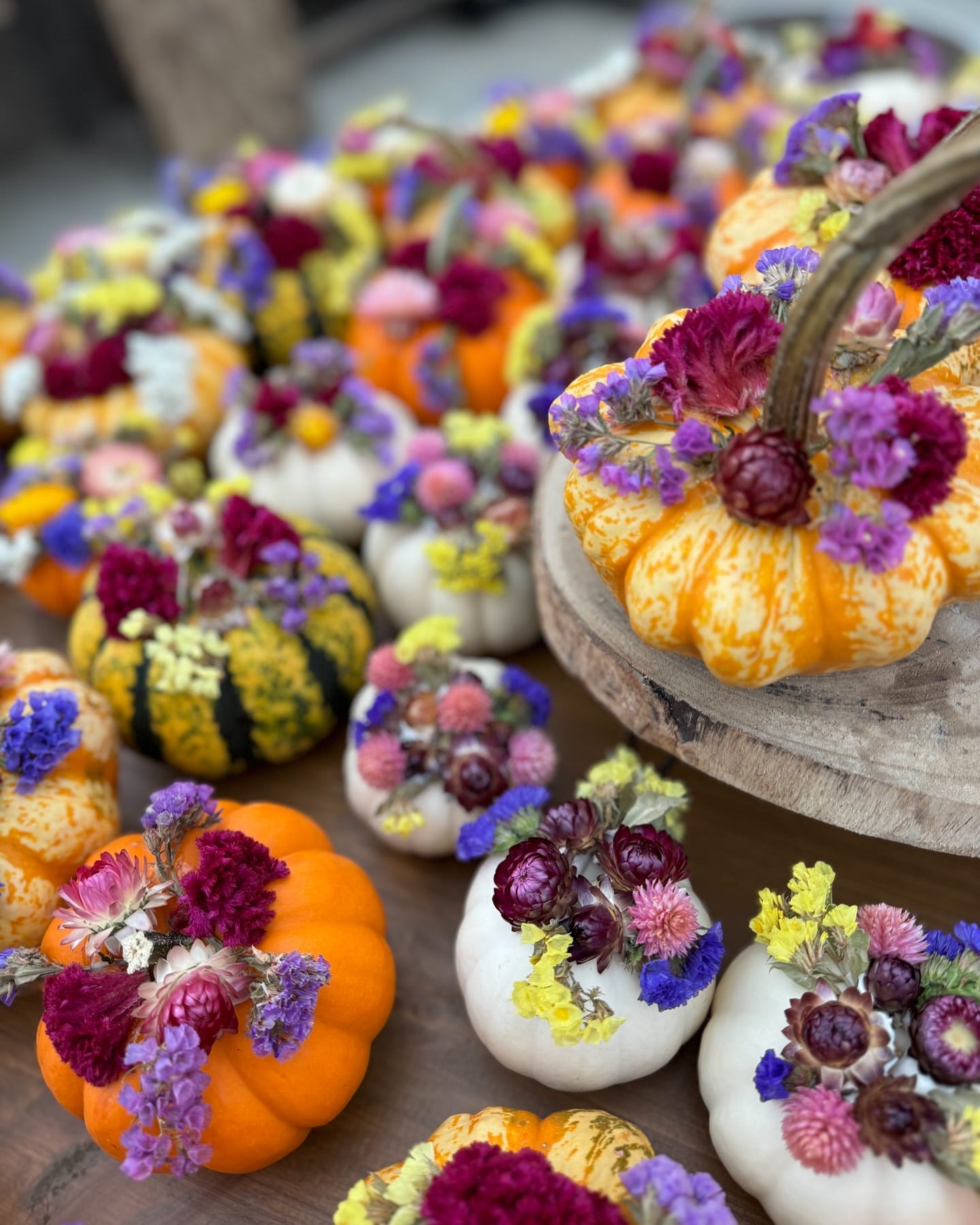 Pumpkin Patches NYC