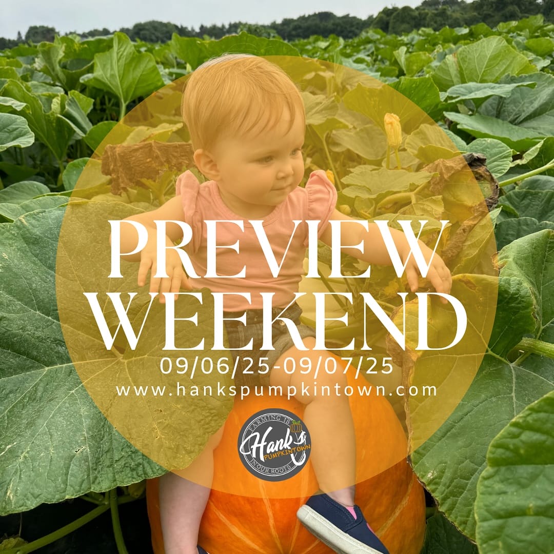 Pumpkin Patches NYC
