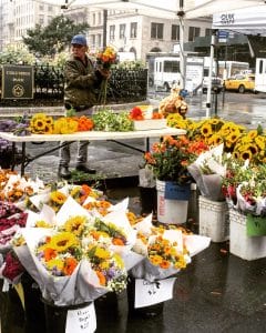 December 2024 Fun: Your Guide to Toronto and Beyond