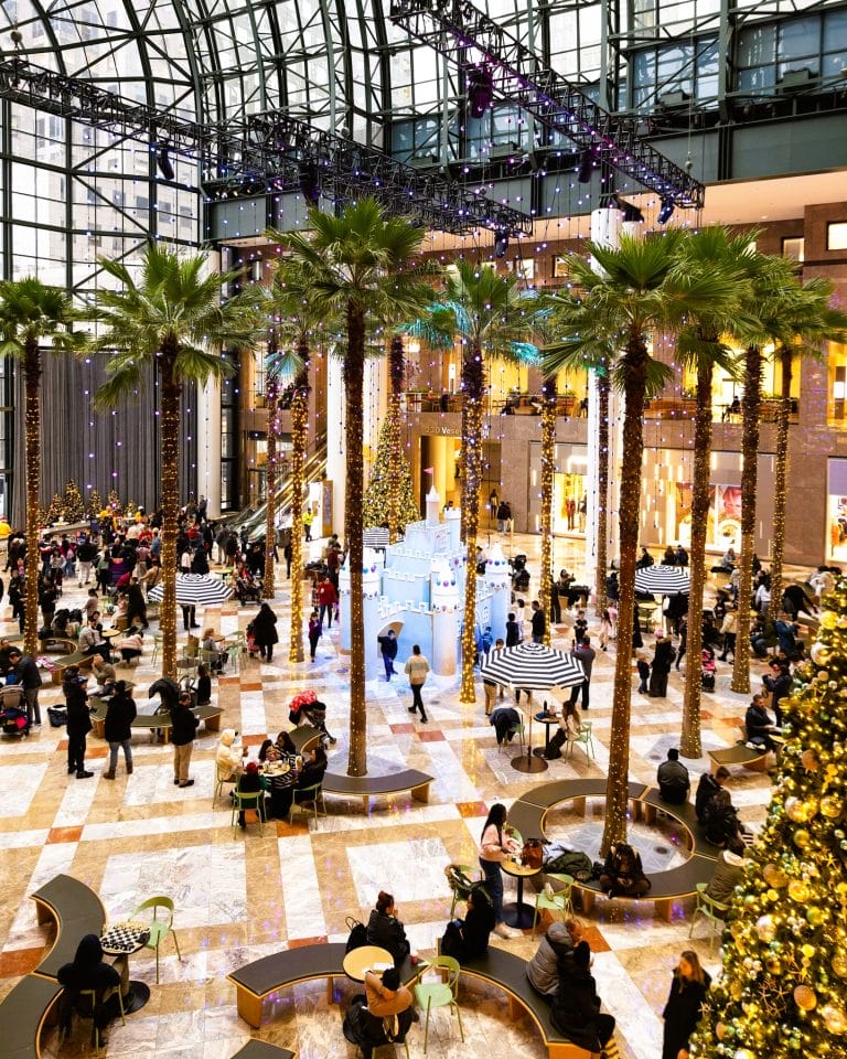 A New Yorker’s Guide to Black Friday: Where to Find the Best Deals in 2025