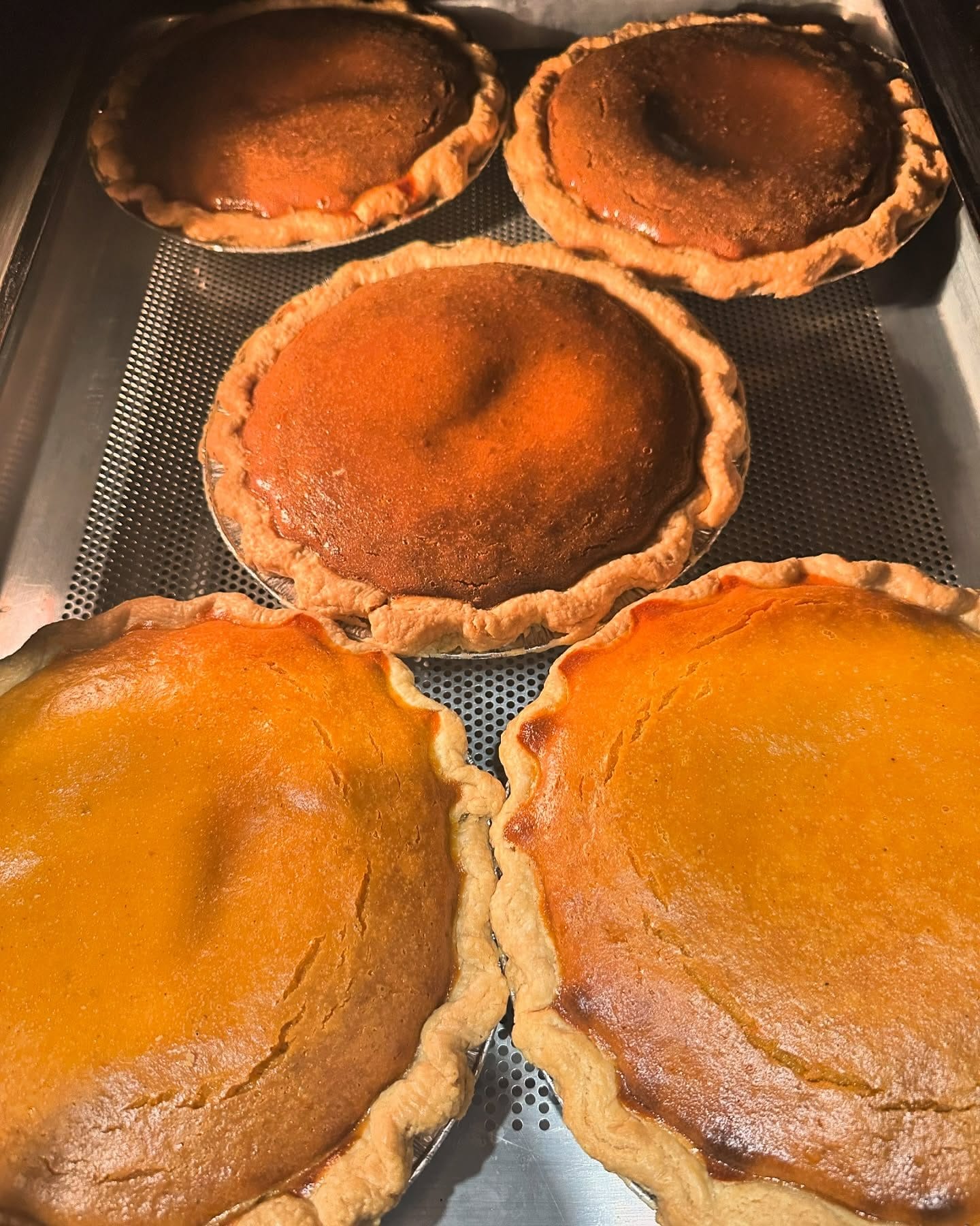 Best Thanksgiving Pie NYC