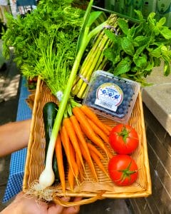 December 2024 Fun: Your Guide to Toronto and Beyond