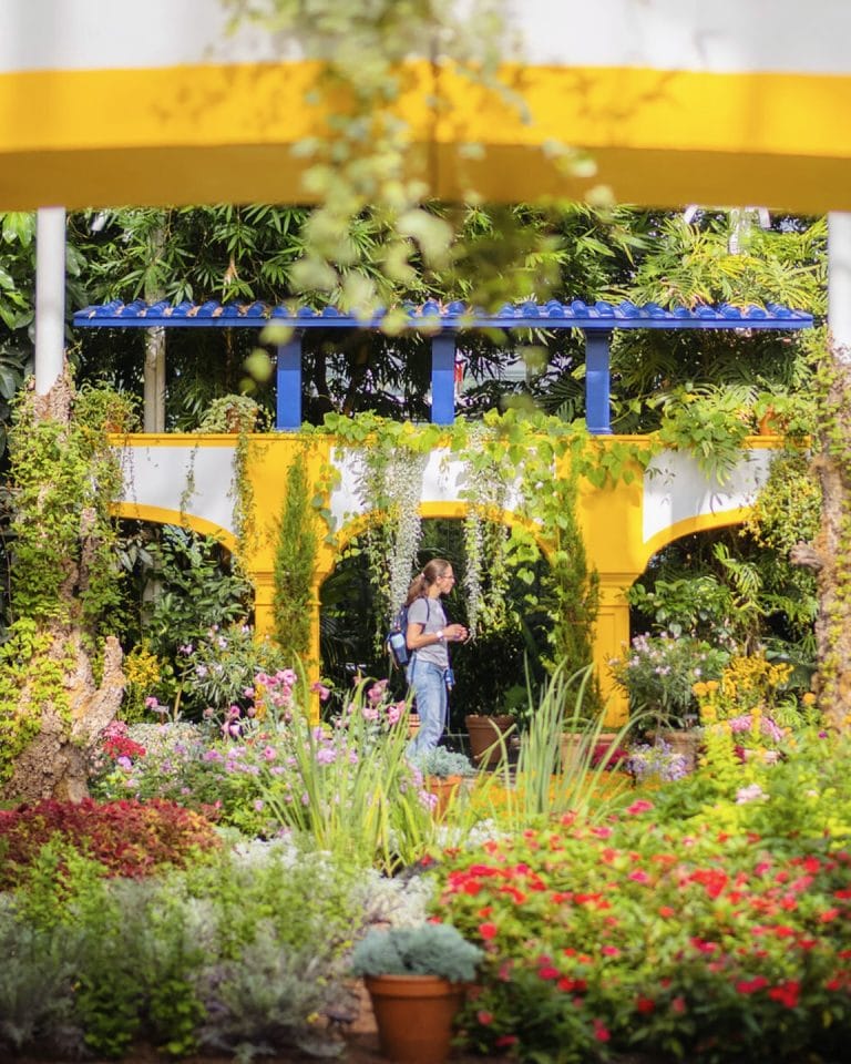 15+ Best Gardens in NYC (NYBG, High Line & Free Gems)