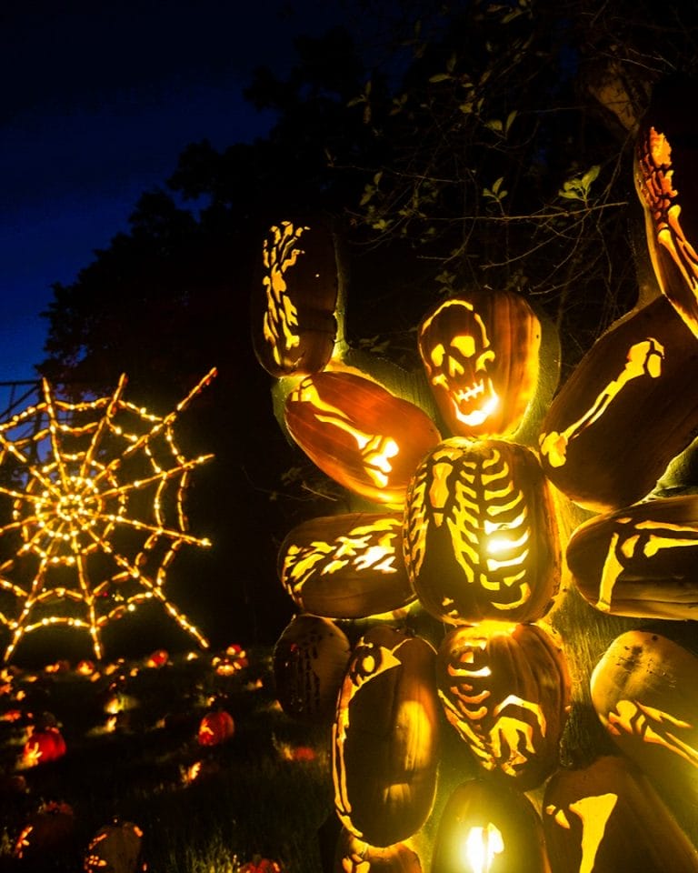 15+ Best Halloween Festivals in NYC (Blaze, Bronx Zoo)