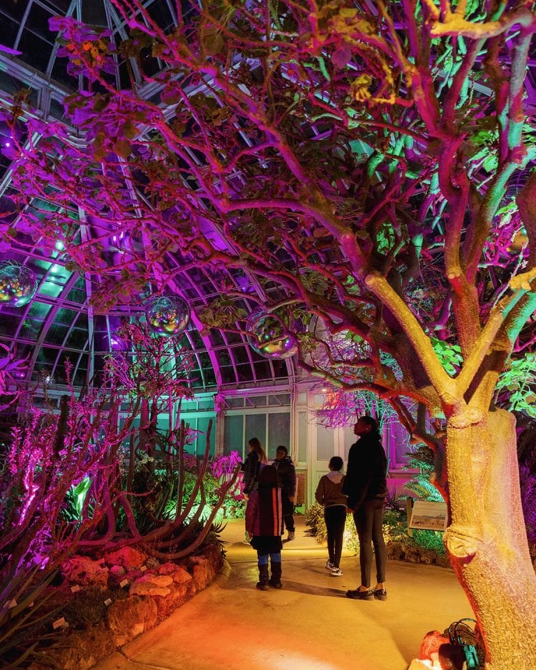 Best Things To Do in NYC This Week (Nov 10-16, 2025)