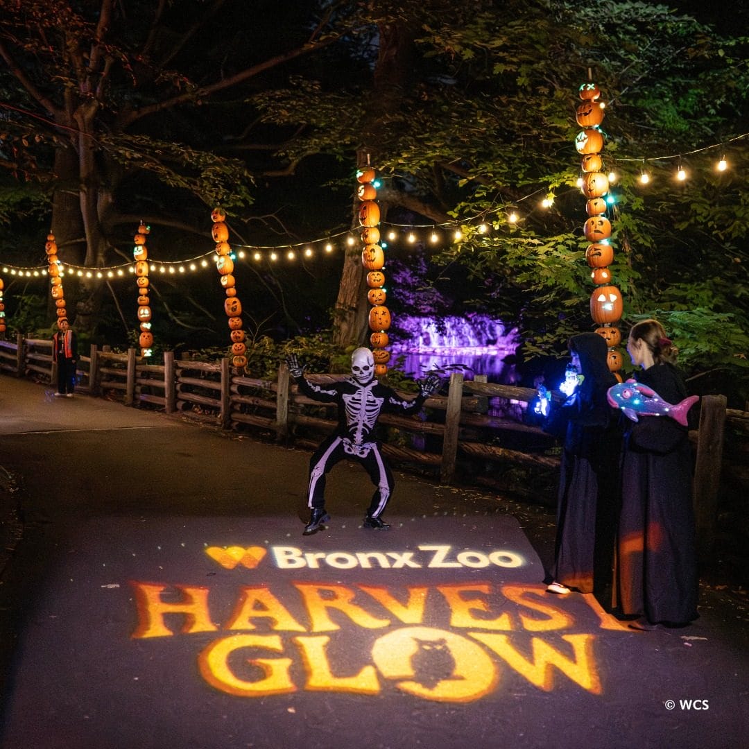 Halloween festivals NYC