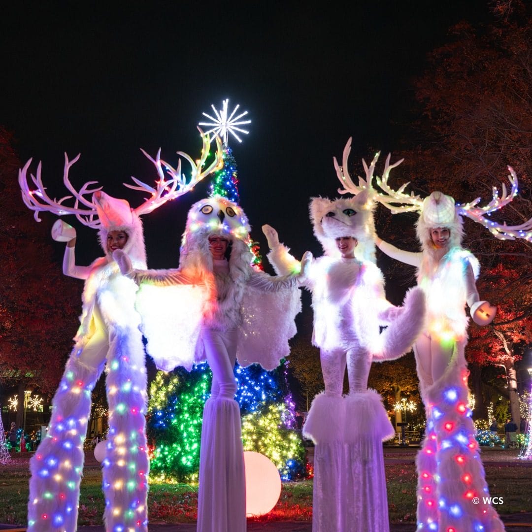 Things to do NYC December 2025