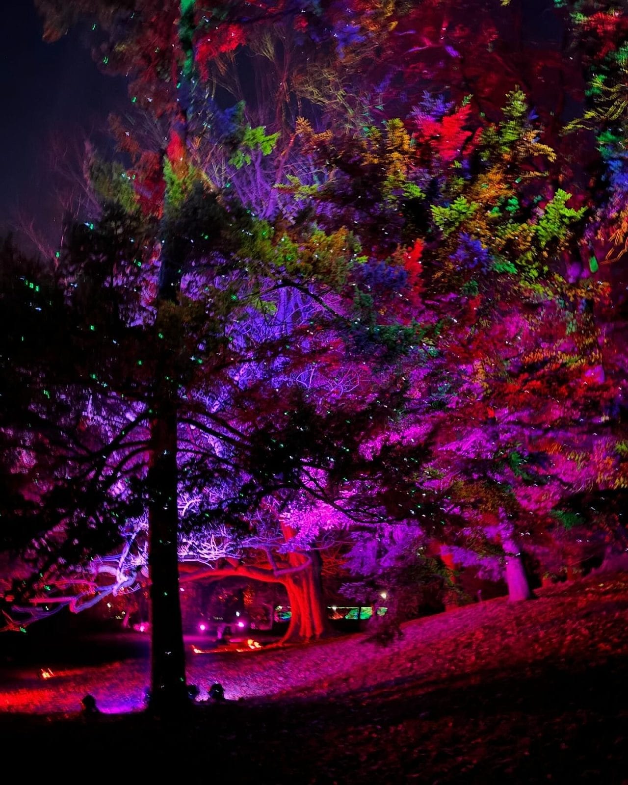 Things to do NYC December 2025