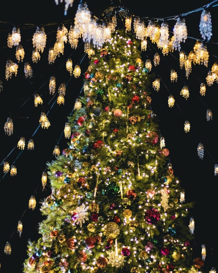 17 Things to Do in Central Park in Winter (A Local’s Guide)