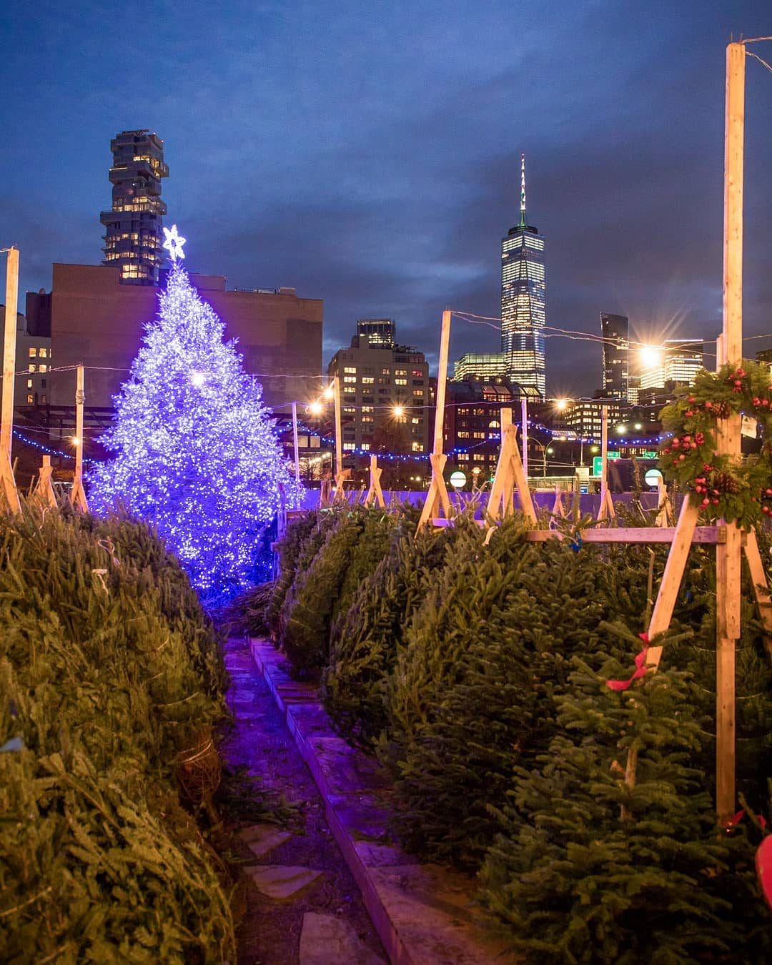 Christmas tree delivery NYC