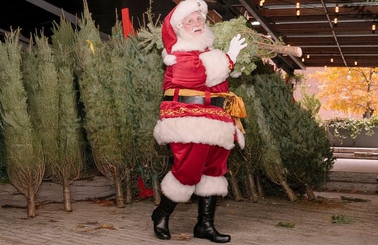 Christmas tree delivery NYC